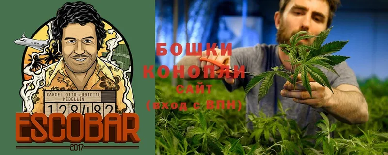 Каннабис SATIVA & INDICA  Пушкино 